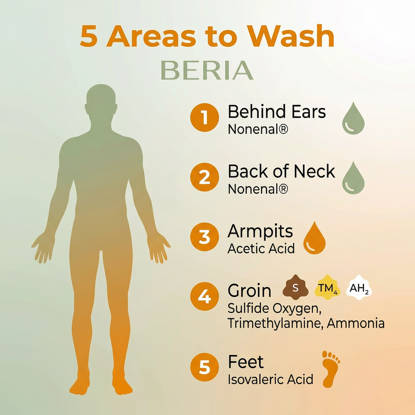 Beria Persimmon Soap - Remove Anti-Aging Odor